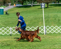 20250629-DSC01078