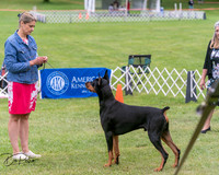 20250628-DSC07192