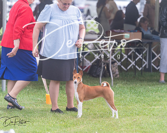 20250626-DSC04483