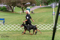 20250628-DSC08010