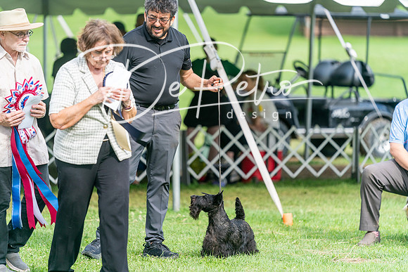 20240630-DSC05711