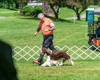 20250629-DSC00057
