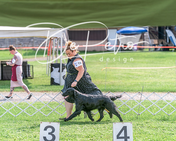 20240815-DSC07954