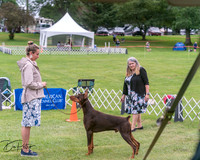 20250628-DSC07218