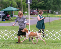 20250628-DSC07368