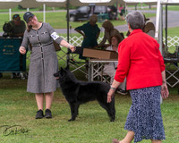 20250628-DSC08850