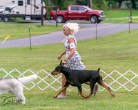 20250626-DSC04066