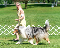 Herding 6/29