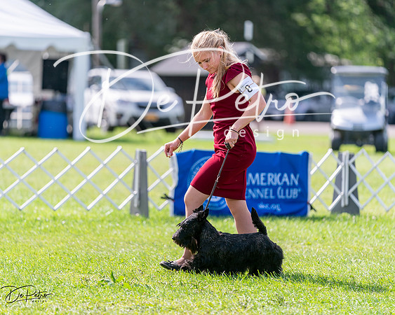20240630-DSC03654