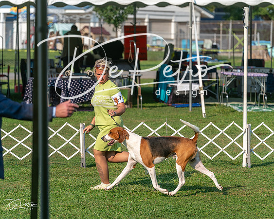 20240913-DSC00014