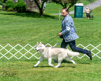 20250629-DSC09699