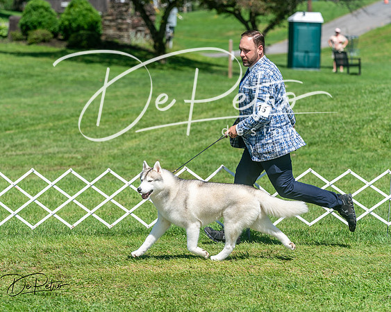 20250629-DSC09699