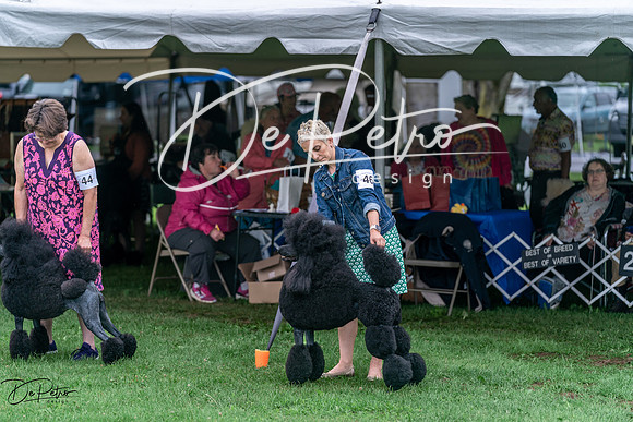 20240629-DSC05707