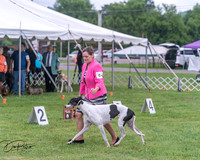 20250626-DSC04355