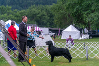 20250626-DSC02375