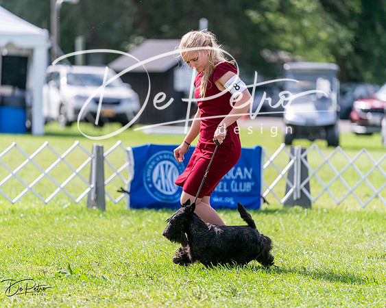 20240630-DSC03652