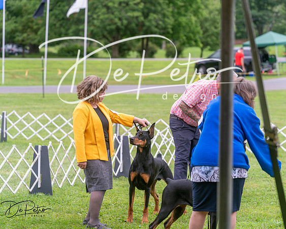 20250628-DSC07273