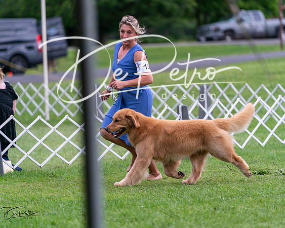 20240630-DSC01065