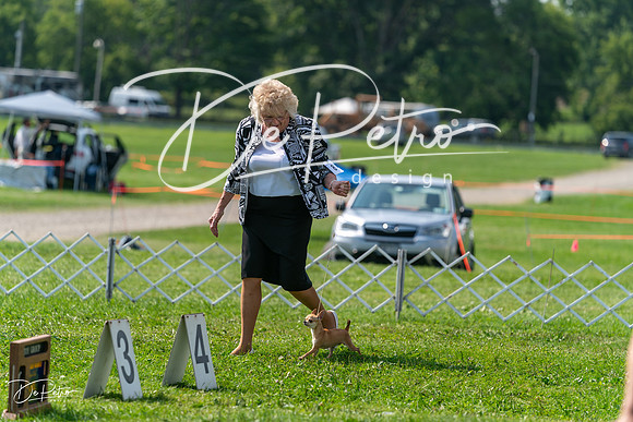 20240816-DSC00354