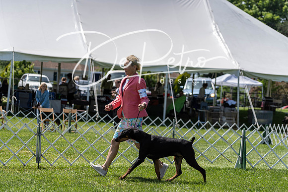 20190609-DSC09411