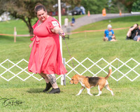 20250628-DSC08329