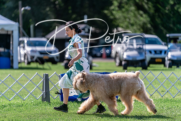 20240630-DSC04835