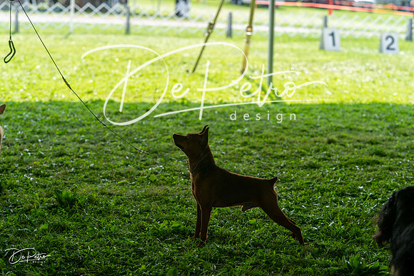 20240816-DSC00236