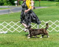20250629-DSC00843