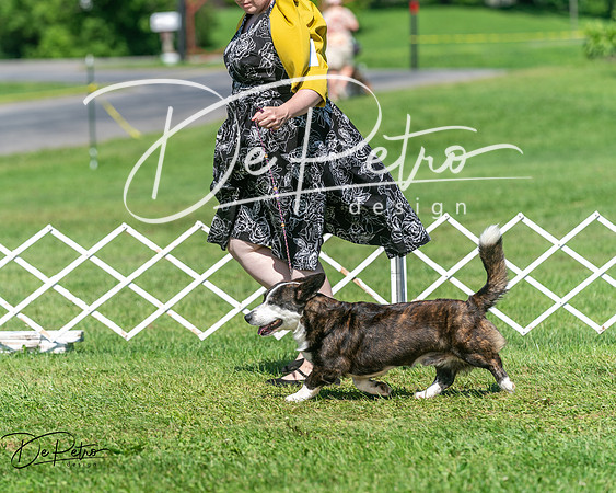 20250629-DSC00843