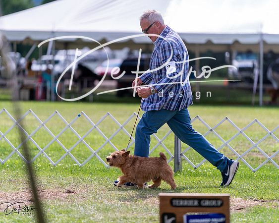 20240630-DSC03676