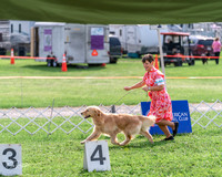 20240815-DSC07861