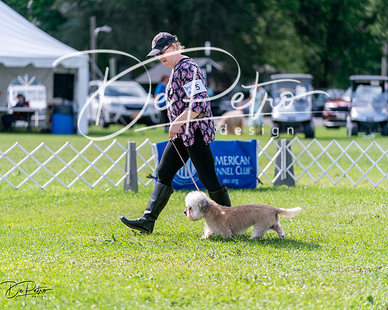 20240630-DSC03621