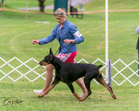 20250628-DSC07200