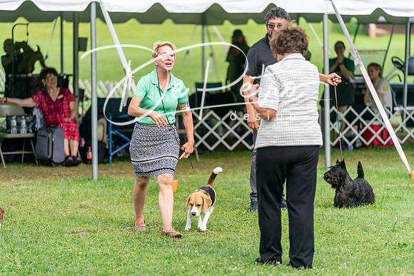 20240630-DSC05746