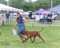 20250626-DSC04388