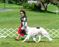 20250629-DSC01106