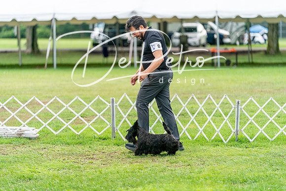 20240630-DSC05620