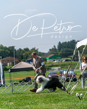 20240816-DSC00540