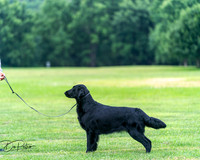 20250627-DSC06839