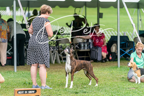 20240630-DSC05674