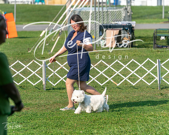 20240913-DSC00125