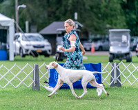 20240630-DSC03918
