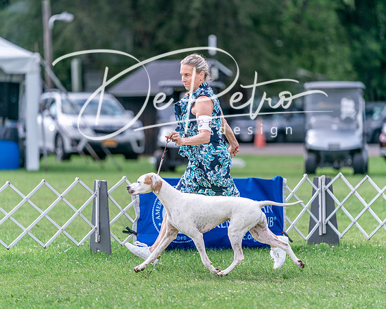 20240630-DSC03918