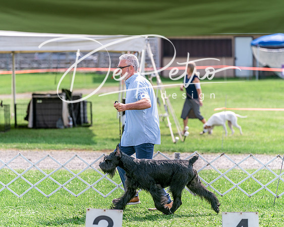 20240815-DSC07608