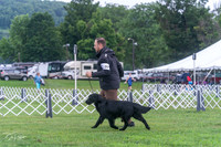 20250626-DSC02202