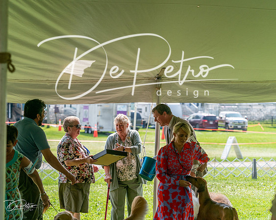 20240816-DSC01132