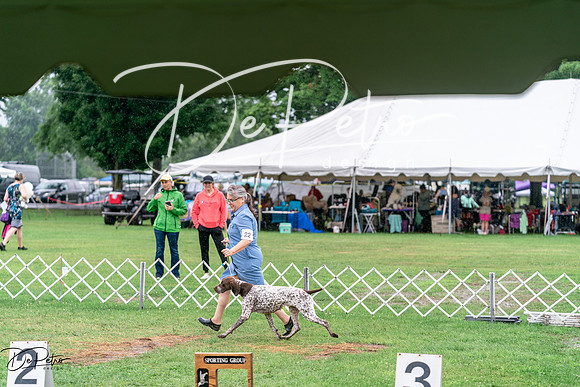 20240629-DSC06848