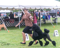 20250627-DSC06462