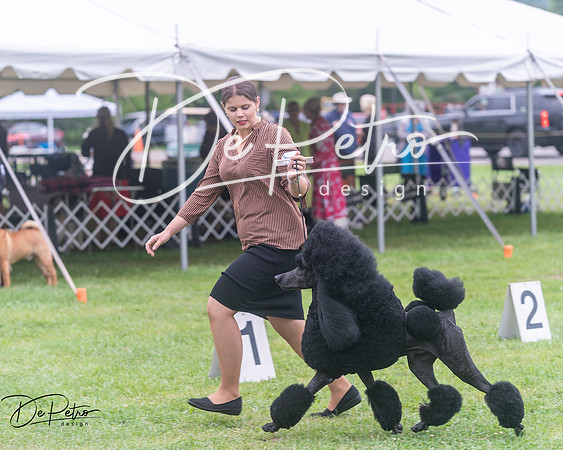 20250627-DSC06462