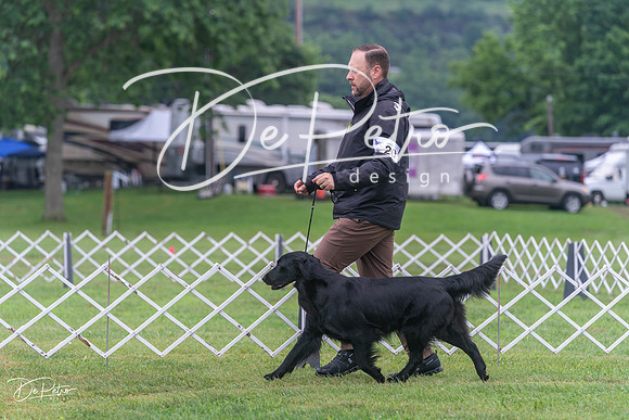 20250626-DSC02435